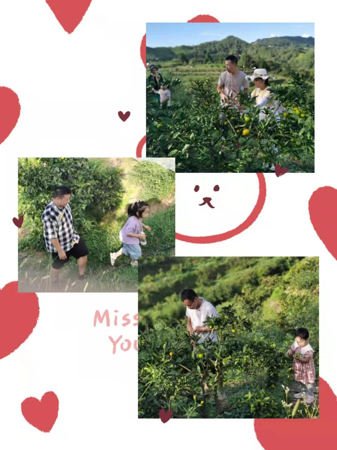 1631356033137568.jpg 2-1.jpg